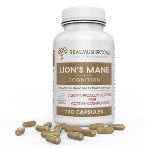 Lions Mane Extract - 120 Capsules 100% Organic Lions Mane Mushroom