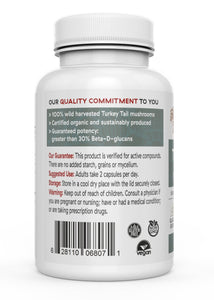 Turkey Tail Extract -  100% Organic Turkey Tail Mushrooms